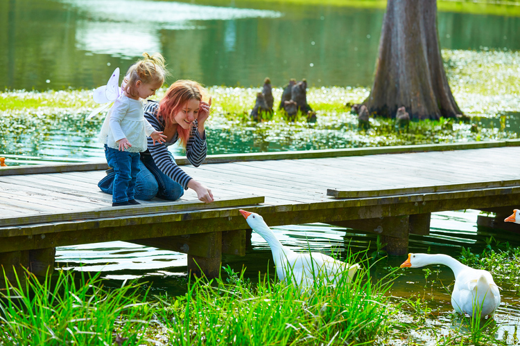 termination of parental rights texas